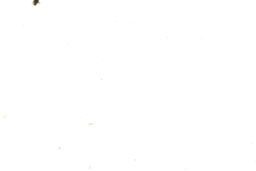 Image 64